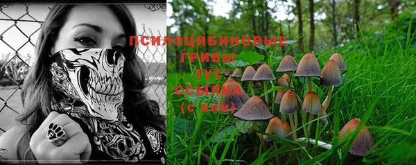 ГАЛЛЮЦИНОГЕННЫЕ ГРИБЫ Армянск