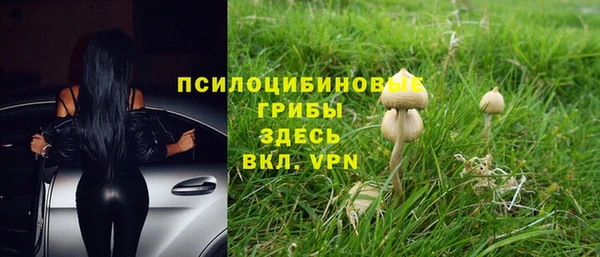 ГАЛЛЮЦИНОГЕННЫЕ ГРИБЫ Армянск