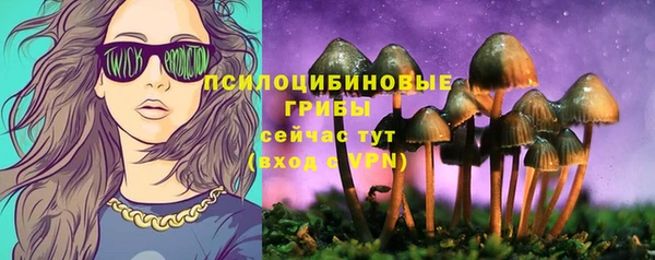 ГАЛЛЮЦИНОГЕННЫЕ ГРИБЫ Армянск