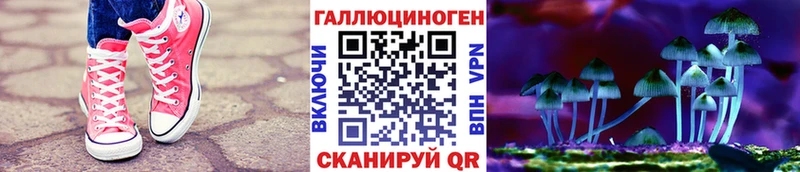 Псилоцибиновые грибы GOLDEN TEACHER  Брянск 